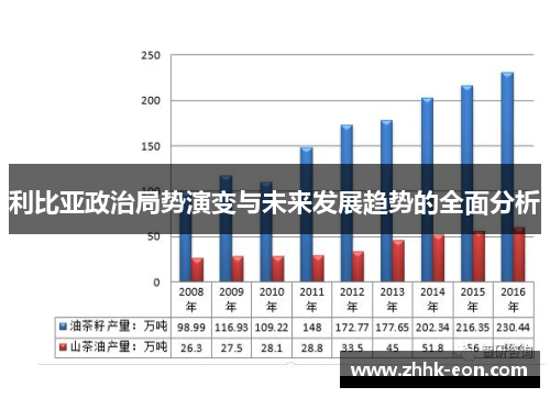 利比亚政治局势演变与未来发展趋势的全面分析